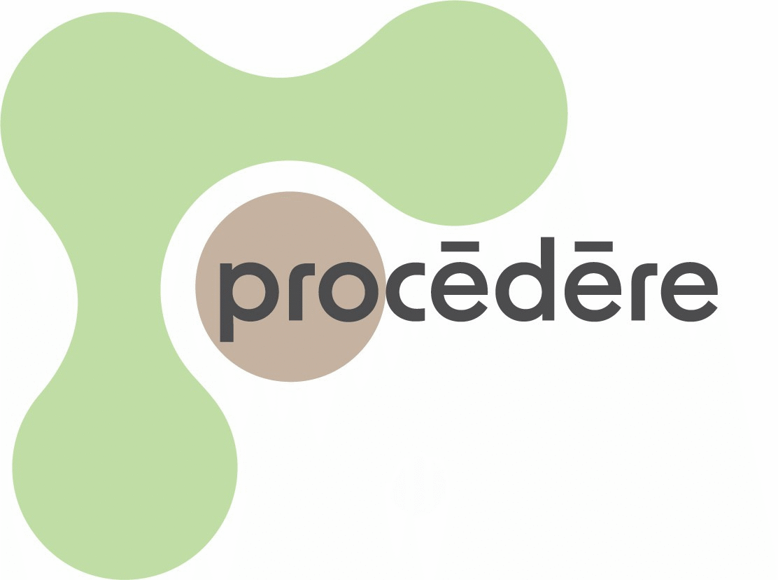 sr-procedere.at
